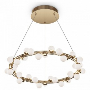 Подвесной светильник Maytoni Tessara MOD081PL-L50G3K в Кунгуре - kungur.mebel24.online | фото 2