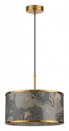 Подвесной светильник Odeon Light Bergi 5064/1 в Кунгуре - kungur.mebel24.online | фото 2