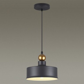 Подвесной светильник Odeon Light Bolli 4088/1 в Кунгуре - kungur.mebel24.online | фото 4