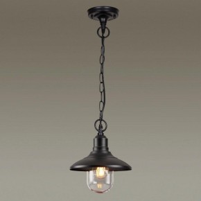 Подвесной светильник Odeon Light Campa 4965/1 в Кунгуре - kungur.mebel24.online | фото 2