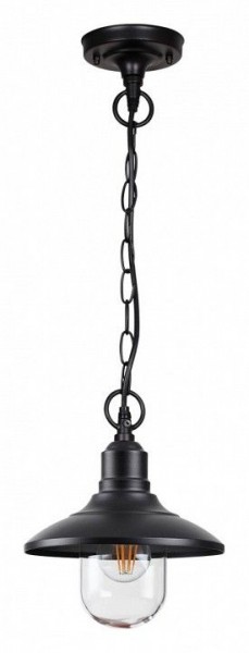 Подвесной светильник Odeon Light Campa 4965/1 в Кунгуре - kungur.mebel24.online | фото 3