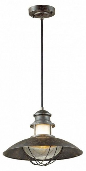 Подвесной светильник Odeon Light Dante 4164/1 в Кунгуре - kungur.mebel24.online | фото 2