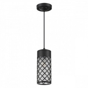 Подвесной светильник Odeon Light Dunes 4834/1 в Кунгуре - kungur.mebel24.online | фото 2