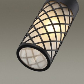 Подвесной светильник Odeon Light Dunes 4834/1 в Кунгуре - kungur.mebel24.online | фото 6