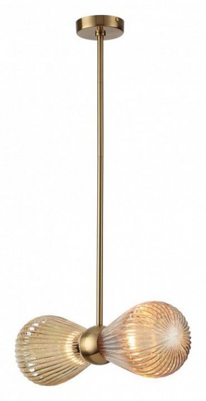 Подвесной светильник Odeon Light Elica 5402/2 в Кунгуре - kungur.mebel24.online | фото 2