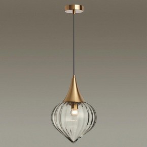 Подвесной светильник Odeon Light Kesta 4950/1 в Кунгуре - kungur.mebel24.online | фото 2