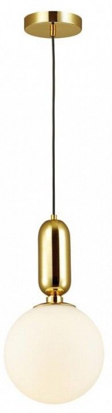 Подвесной светильник Odeon Light Okia 4669/1 в Кунгуре - kungur.mebel24.online | фото 3