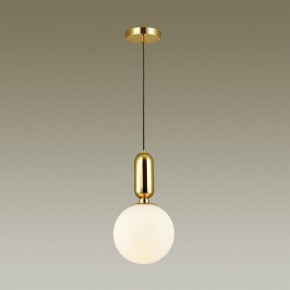 Подвесной светильник Odeon Light Okia 4669/1 в Кунгуре - kungur.mebel24.online | фото 4