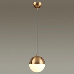 Подвесной светильник Odeon Light Pinga 4960/1 в Кунгуре - kungur.mebel24.online | фото 2