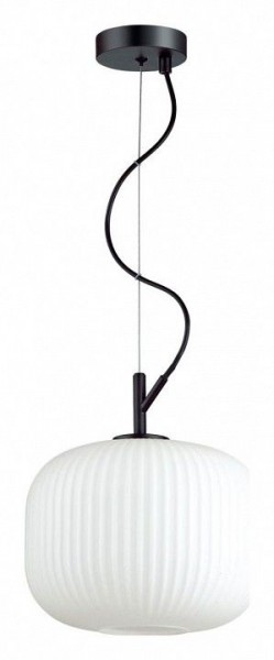 Подвесной светильник Odeon Light Roofi 4753/1 в Кунгуре - kungur.mebel24.online | фото 2