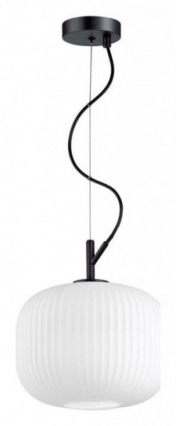 Подвесной светильник Odeon Light Roofi 4753/1 в Кунгуре - kungur.mebel24.online | фото 3