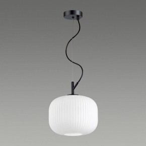 Подвесной светильник Odeon Light Roofi 4753/1 в Кунгуре - kungur.mebel24.online | фото 4