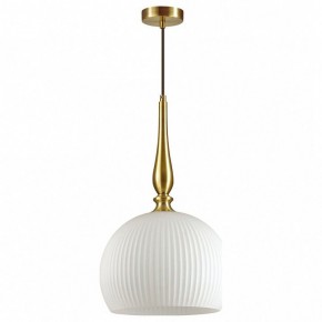 Подвесной светильник Odeon Light Runga 4765/1 в Кунгуре - kungur.mebel24.online | фото 2