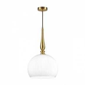 Подвесной светильник Odeon Light Runga 4765/1 в Кунгуре - kungur.mebel24.online | фото 3