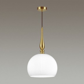 Подвесной светильник Odeon Light Runga 4765/1 в Кунгуре - kungur.mebel24.online | фото 4