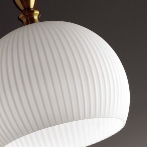 Подвесной светильник Odeon Light Runga 4766/1 в Кунгуре - kungur.mebel24.online | фото 8