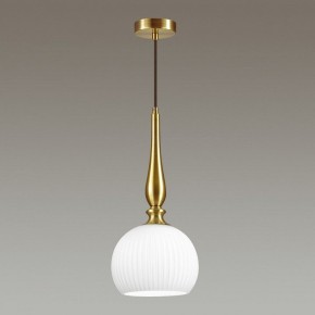 Подвесной светильник Odeon Light Runga 4767/1 в Кунгуре - kungur.mebel24.online | фото 4