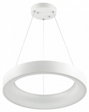 Подвесной светильник Odeon Light Sole 4066/50L в Кунгуре - kungur.mebel24.online | фото 2