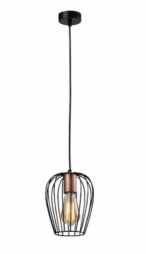 Подвесной светильник Rivoli Atena Б0047367 в Кунгуре - kungur.mebel24.online | фото 3