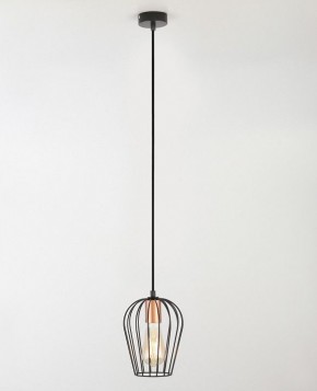 Подвесной светильник Rivoli Atena Б0047367 в Кунгуре - kungur.mebel24.online | фото 4
