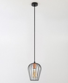 Подвесной светильник Rivoli Atena Б0047367 в Кунгуре - kungur.mebel24.online | фото 5