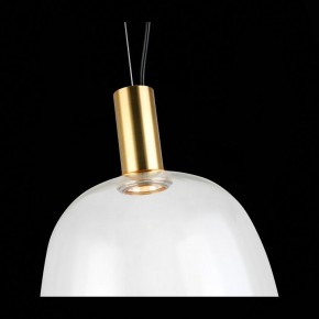 Подвесной светильник ST-Luce Allenore SL1582.313.01 в Кунгуре - kungur.mebel24.online | фото 9