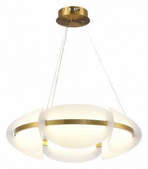 Подвесной светильник ST-Luce Etoile SL1304.203.45 в Кунгуре - kungur.mebel24.online | фото 2