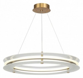 Подвесной светильник ST-Luce FAGY SL6245.203.01 в Кунгуре - kungur.mebel24.online | фото 2