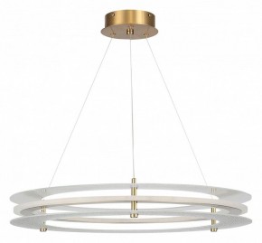 Подвесной светильник ST-Luce FAGY SL6245.203.01 в Кунгуре - kungur.mebel24.online | фото 3