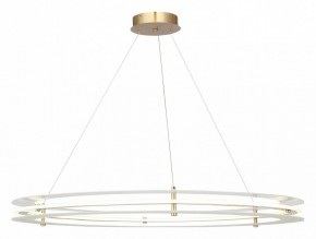 Подвесной светильник ST-Luce FAGY SL6245.213.01 в Кунгуре - kungur.mebel24.online | фото 2