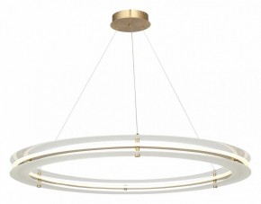 Подвесной светильник ST-Luce FAGY SL6245.213.01 в Кунгуре - kungur.mebel24.online | фото 4