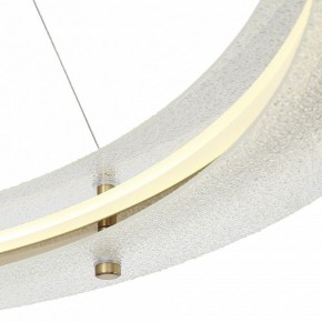 Подвесной светильник ST-Luce FAGY SL6245.213.01 в Кунгуре - kungur.mebel24.online | фото 6