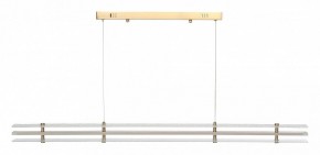 Подвесной светильник ST-Luce FAGY SL6245.223.01 в Кунгуре - kungur.mebel24.online | фото 3