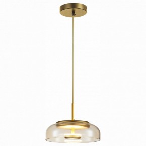 Подвесной светильник ST-Luce Lacio SL6002.203.01 в Кунгуре - kungur.mebel24.online | фото