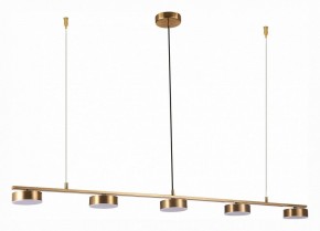 Подвесной светильник ST-Luce Pances SL6000.303.05 в Кунгуре - kungur.mebel24.online | фото 2
