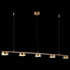 Подвесной светильник ST-Luce Pances SL6000.303.05 в Кунгуре - kungur.mebel24.online | фото 5