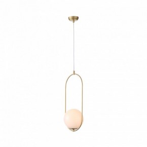 Подвесной светильник ST-Luce Penolo SL1118.203.01 в Кунгуре - kungur.mebel24.online | фото 3