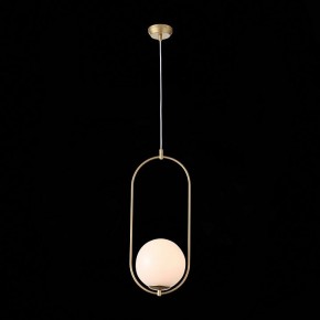 Подвесной светильник ST-Luce Penolo SL1118.203.01 в Кунгуре - kungur.mebel24.online | фото 6