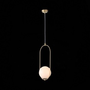 Подвесной светильник ST-Luce Penolo SL1118.203.01 в Кунгуре - kungur.mebel24.online | фото 7