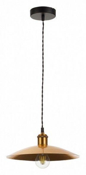 Подвесной светильник ST-Luce Romo SL1017.203.01 в Кунгуре - kungur.mebel24.online | фото 2