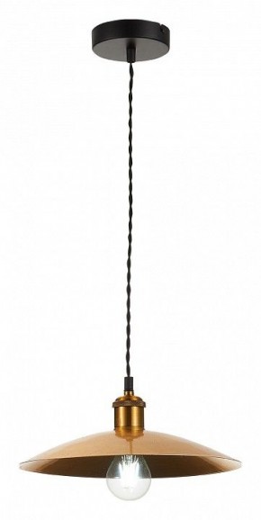 Подвесной светильник ST-Luce Romo SL1017.203.01 в Кунгуре - kungur.mebel24.online | фото 4