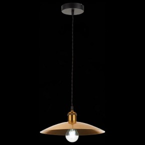 Подвесной светильник ST-Luce Romo SL1017.203.01 в Кунгуре - kungur.mebel24.online | фото 5