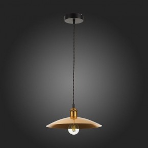 Подвесной светильник ST-Luce Romo SL1017.203.01 в Кунгуре - kungur.mebel24.online | фото 7