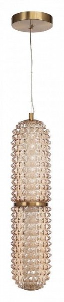 Подвесной светильник ST-Luce SAGUARO SL6144.303.01 в Кунгуре - kungur.mebel24.online | фото 3