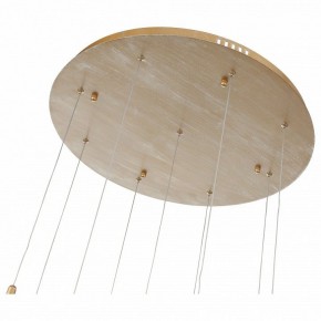 Подвесной светильник ST-Luce SL1116 SL1116.203.09 в Кунгуре - kungur.mebel24.online | фото 4
