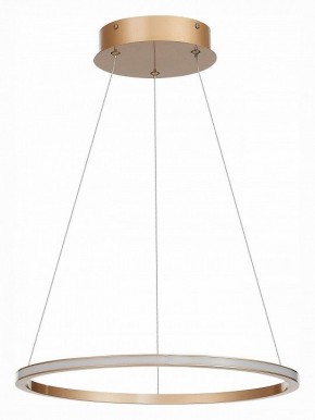 Подвесной светильник ST-Luce ST604 OUT ST604.243.22 в Кунгуре - kungur.mebel24.online | фото 2