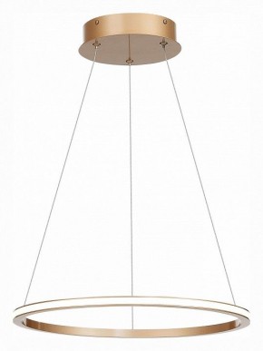 Подвесной светильник ST-Luce ST604 OUT ST604.243.22 в Кунгуре - kungur.mebel24.online | фото 3