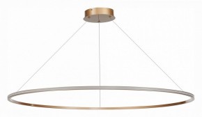 Подвесной светильник ST-Luce ST604 OUT ST604.243.57 в Кунгуре - kungur.mebel24.online | фото 2