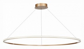 Подвесной светильник ST-Luce ST604 OUT ST604.243.57 в Кунгуре - kungur.mebel24.online | фото 3