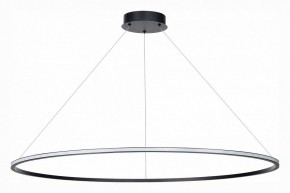 Подвесной светильник ST-Luce ST604 OUT ST604.443.46 в Кунгуре - kungur.mebel24.online | фото 2